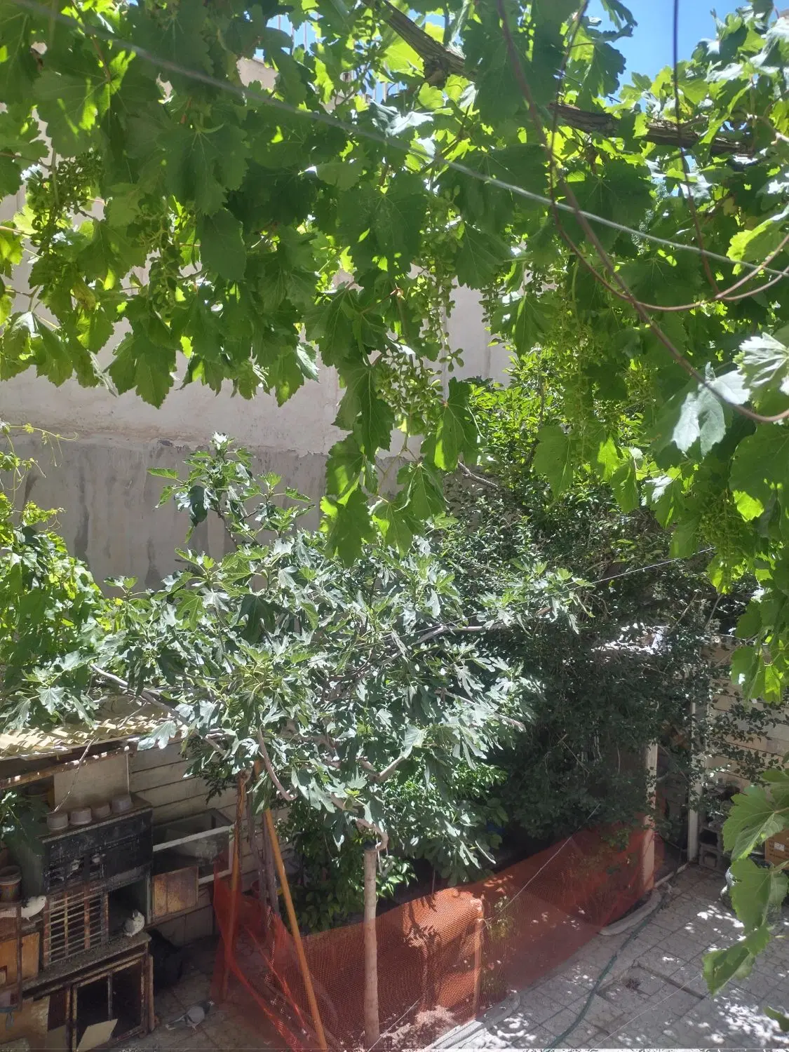 خانه ویلایی