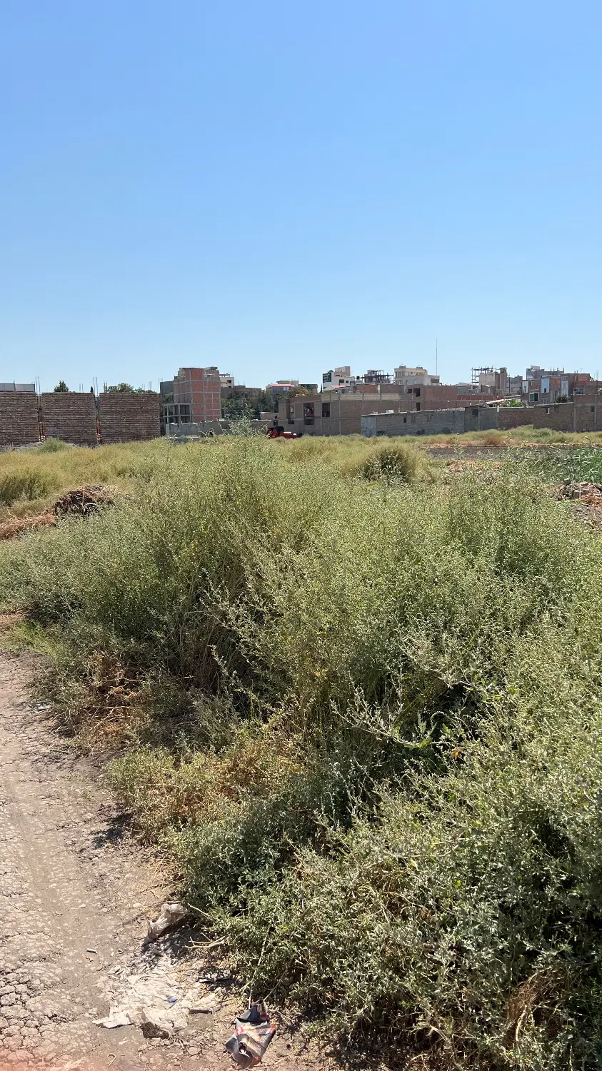 زمین مسکونی ۲۳۰متر