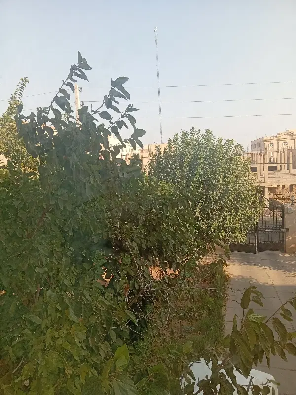 دو خواب فاز 3شمال