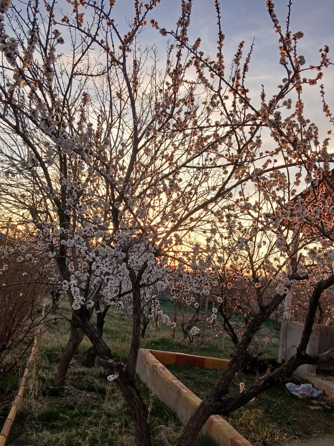 زمین با لوکیشن خوب بر خیابان در سربندان