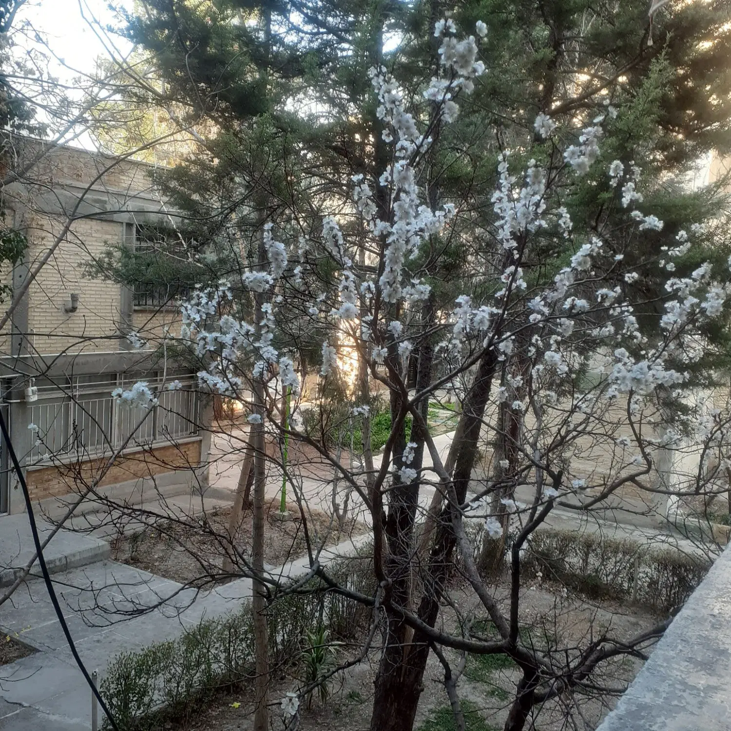 فروش آپارتمان