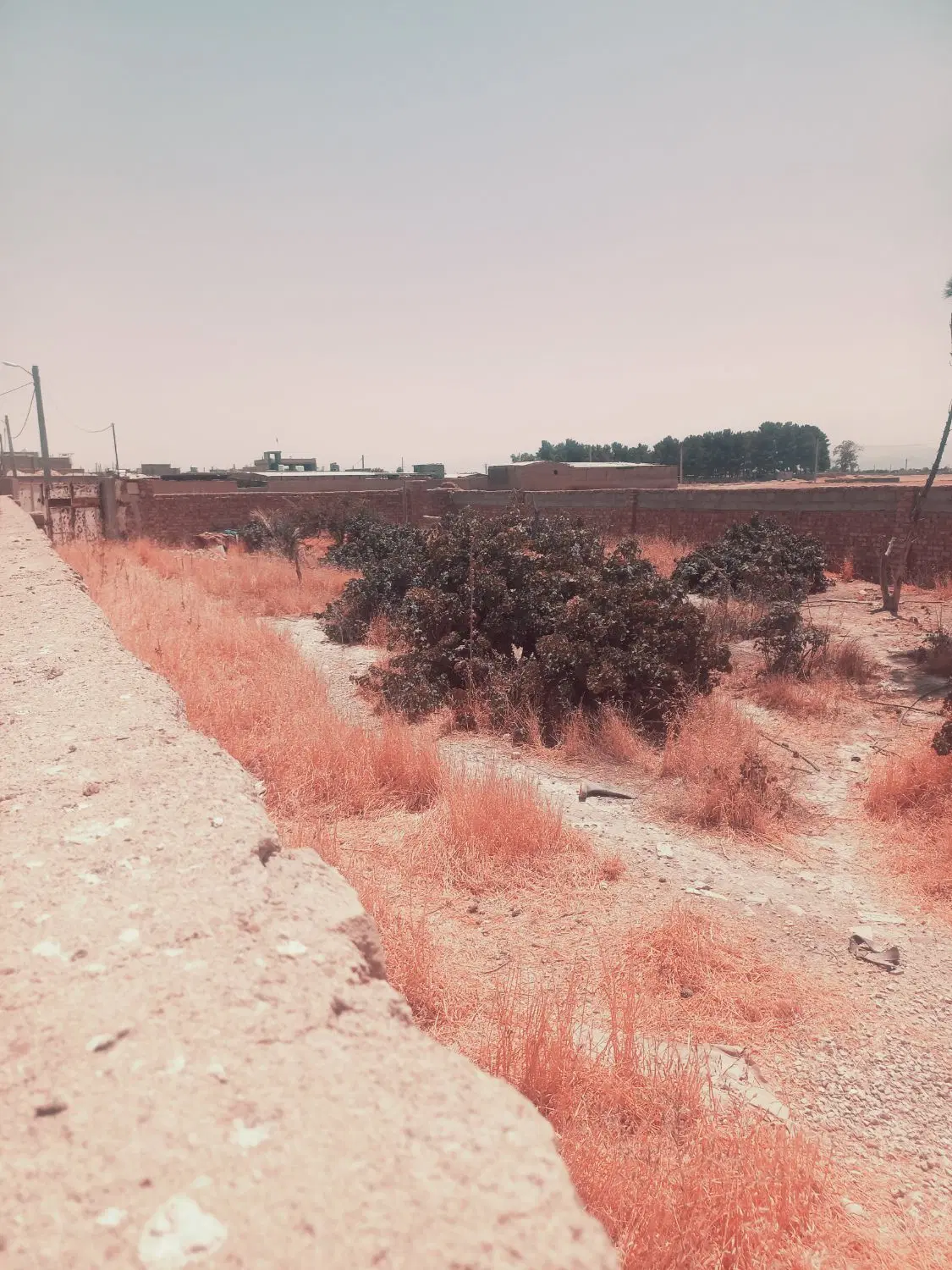 زمین باغی. .با شرایط آب وبرق و گاز. .