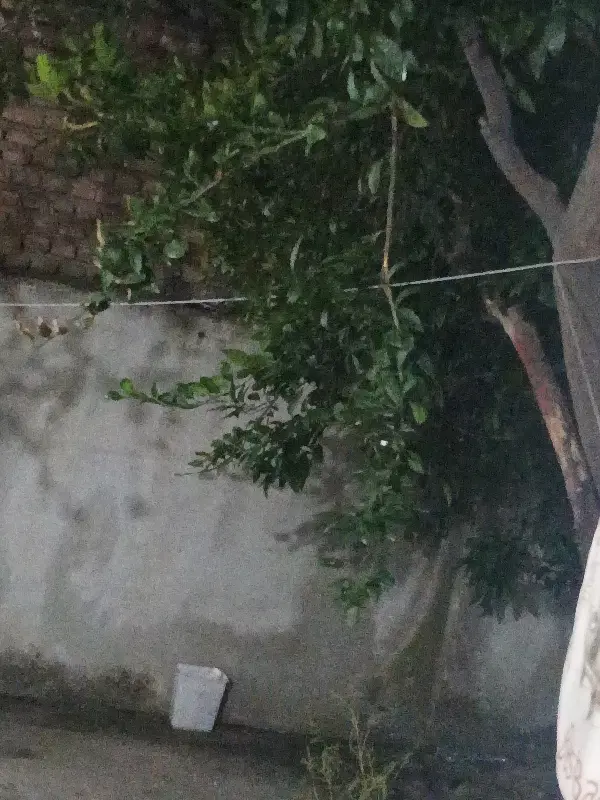 رهن منزل