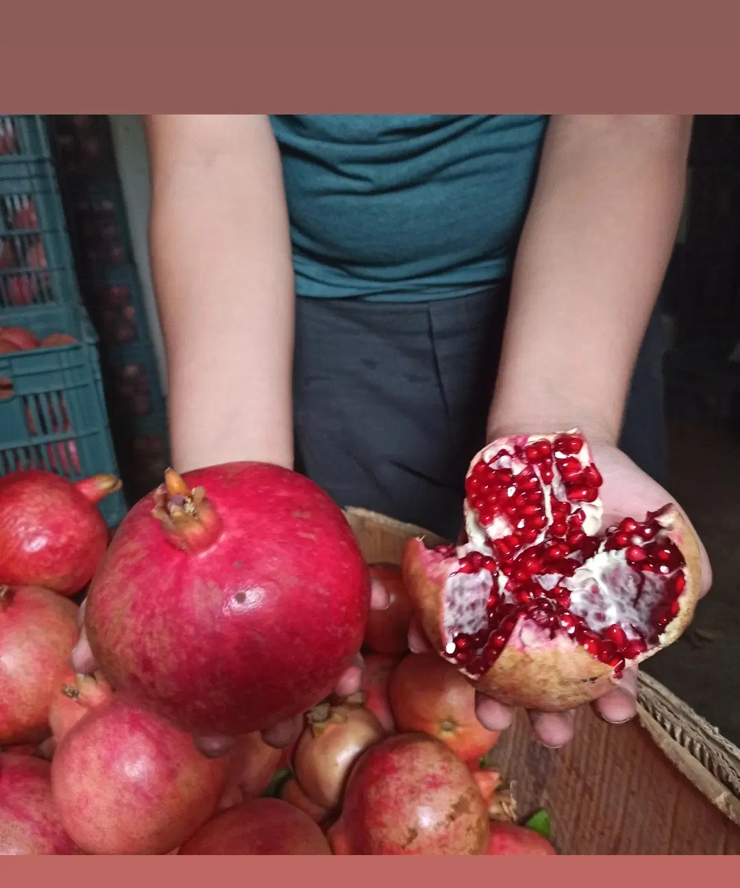فروش یک قطعه باغ در روستای اولسجرد