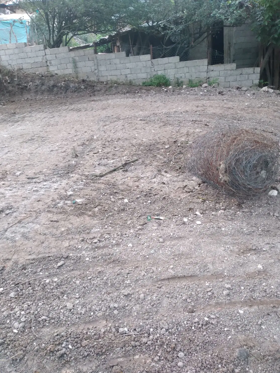 زمین مسکونی و باغی خاصکول