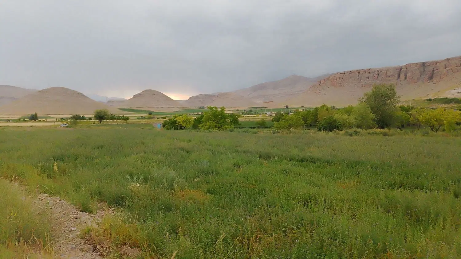زمین کشاورزی مناسب برای باغ