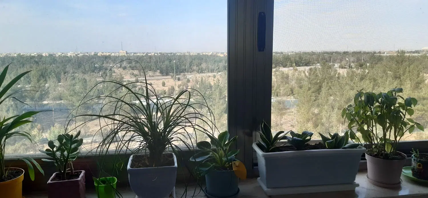 اپارتمان نوساز ۳ خوابه دو بر نور جنوبی