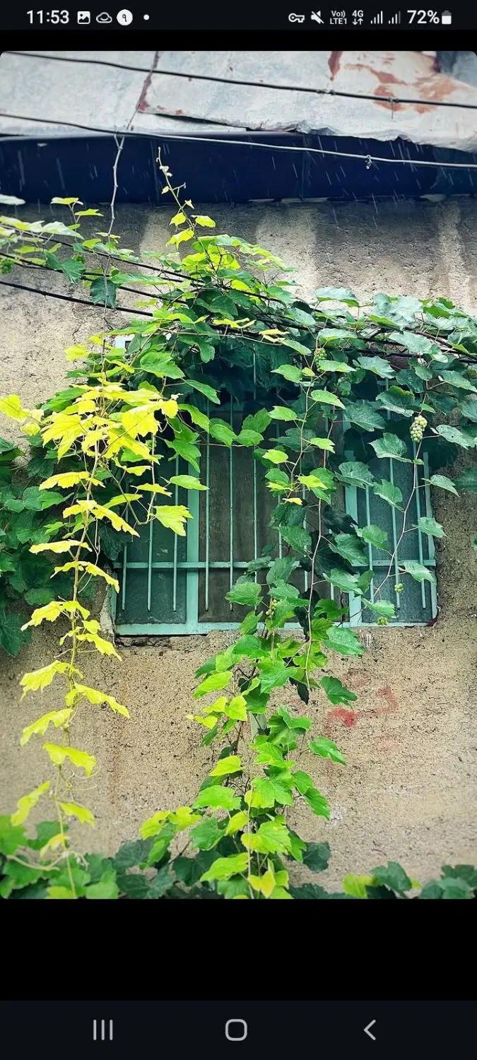 ویلایی ۱۵۰ متر جنوبی مناسب ساحت و نشیمن