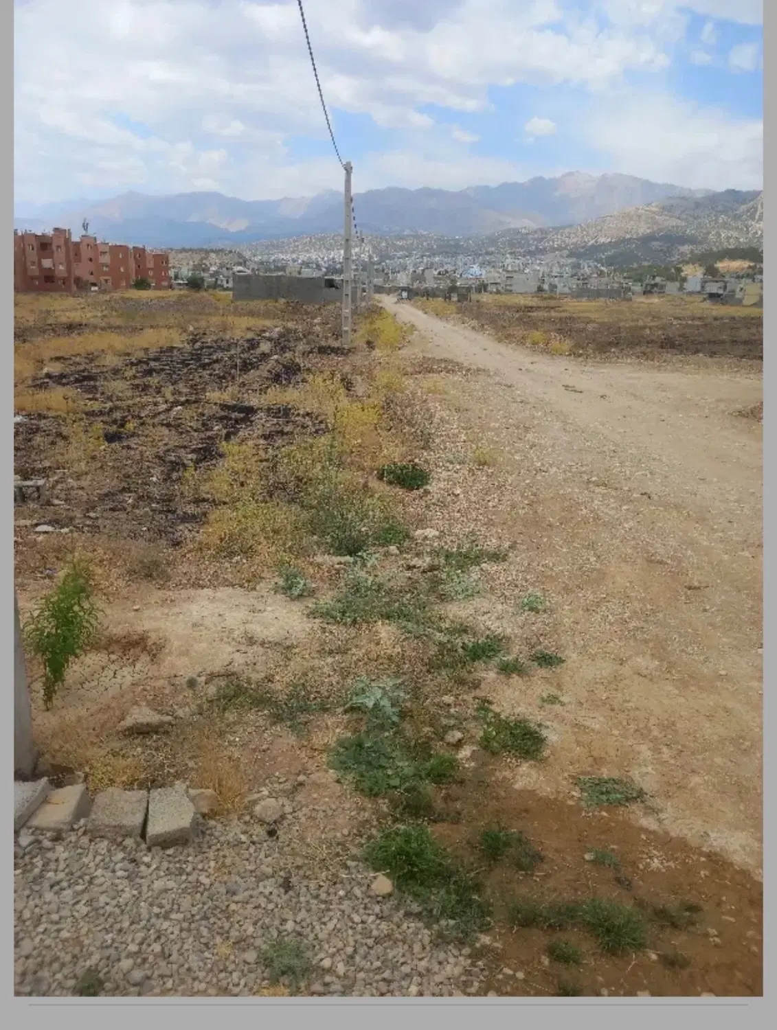 زمین علوم پزشکی