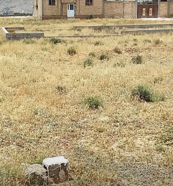 زمین مسکونی ملکی کرونی دبیرستان درمانگاه