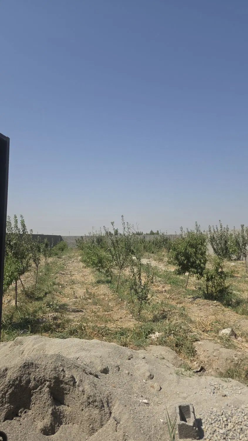 باغ چهاردیواری بهترین لوکیشن 750متری_باغستان_باکری