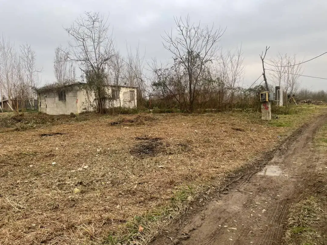 زمین باغی مناسب سرمایه گذاری