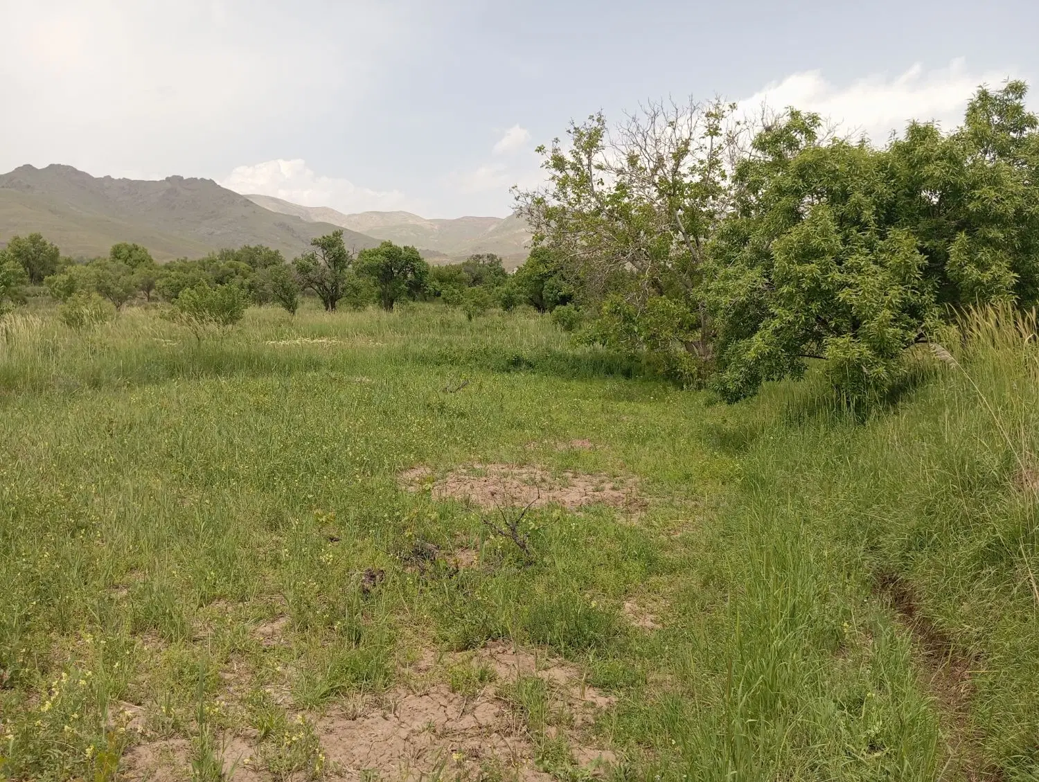 فروش زمین و باغ  ... قزوین روستای توریستی رزجرد