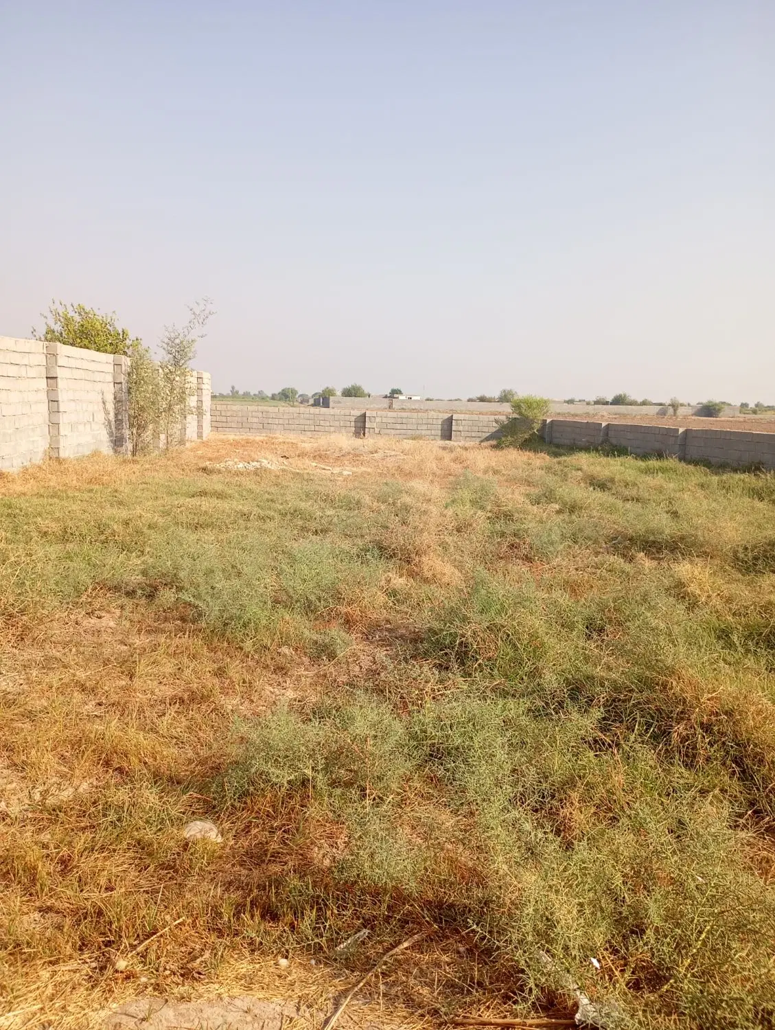 زمین باغچه مناسب سرمایه گذاری