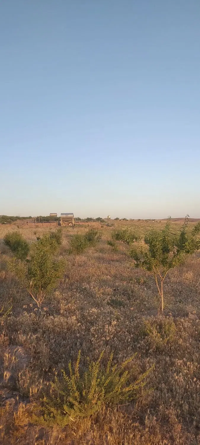 باغ