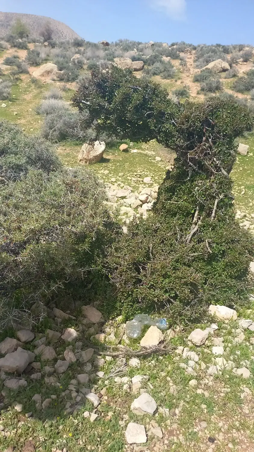 زمین مسکونی