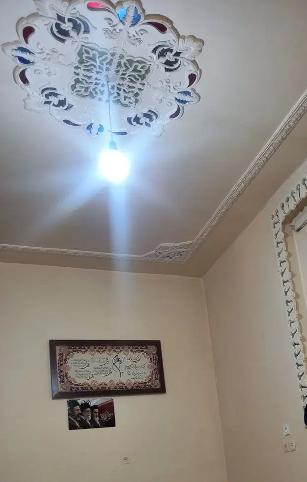 هم خانه