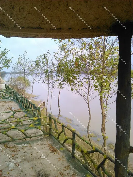 ملک مرغداری، کشاورزی