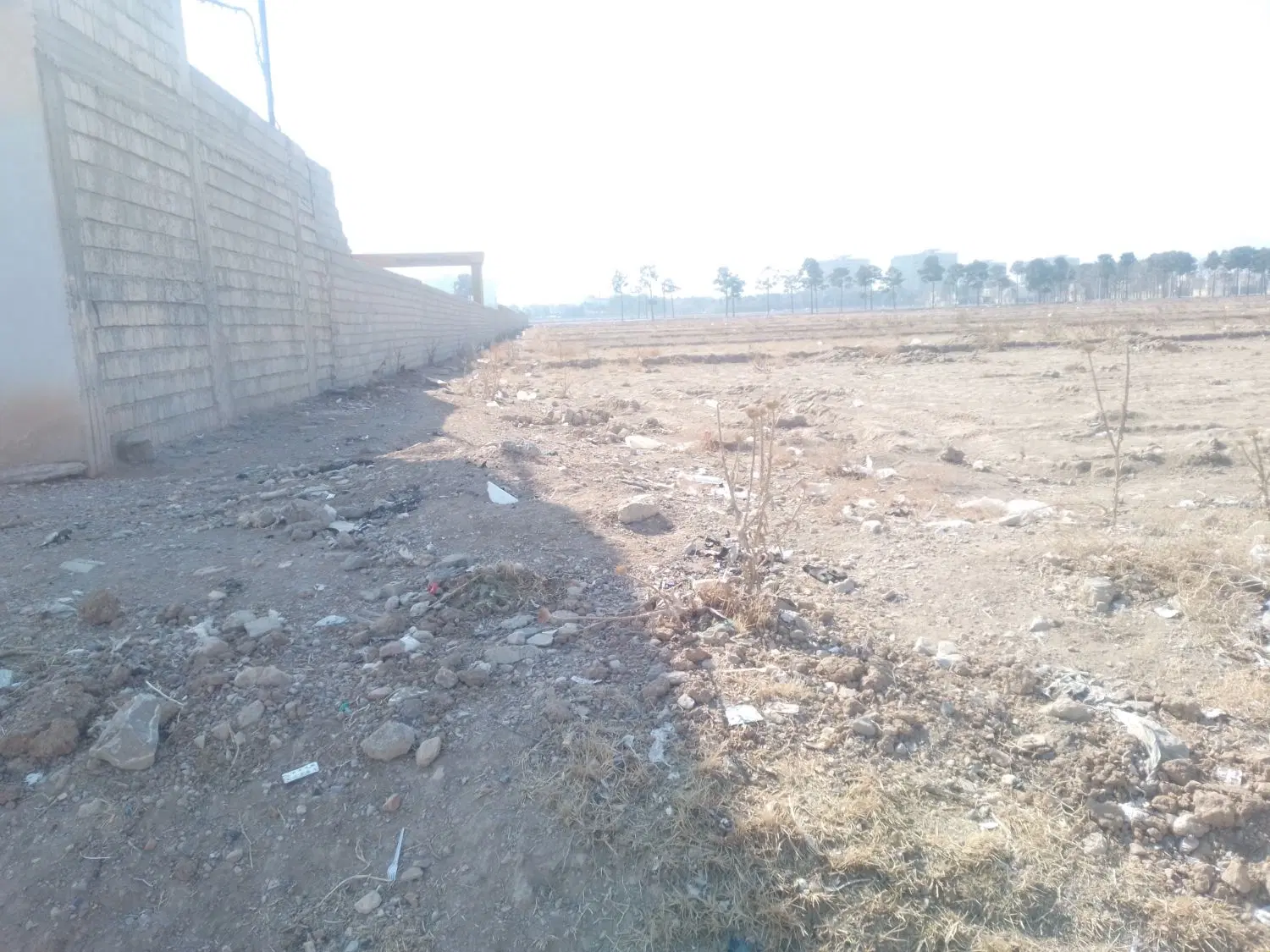 زمین