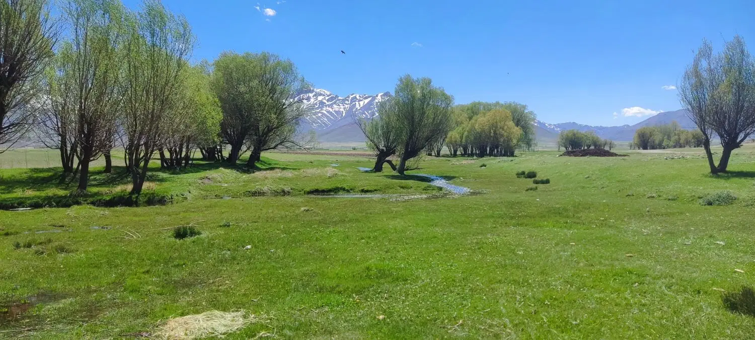 زمین دادگستری  سپاهانشهر فاز ۲