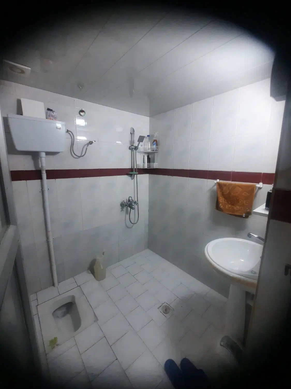 اجاره سوئیت روزانه