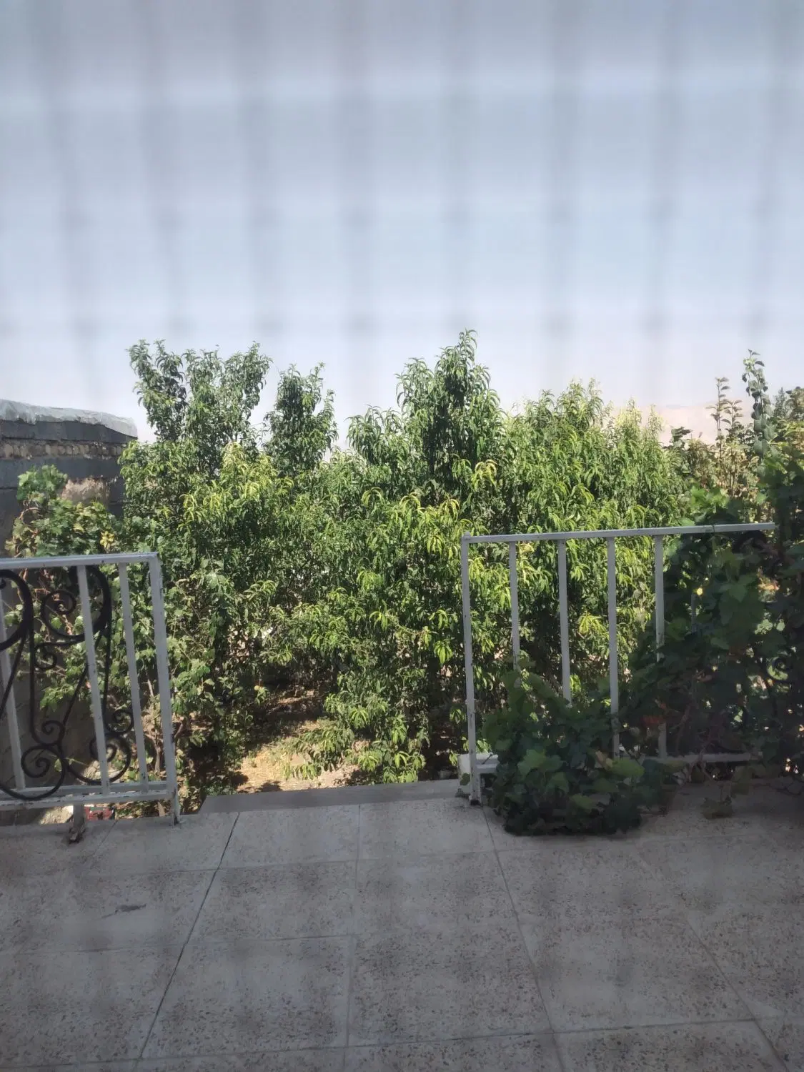 زمین مسکونی در شهرستان تفرش
