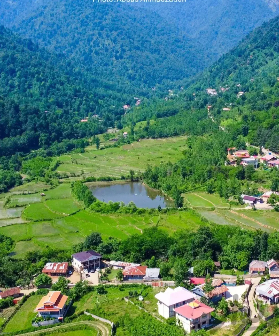 ویلاتک خواب.دوخواب.سه.خواب باویوزیباتودل جنگل