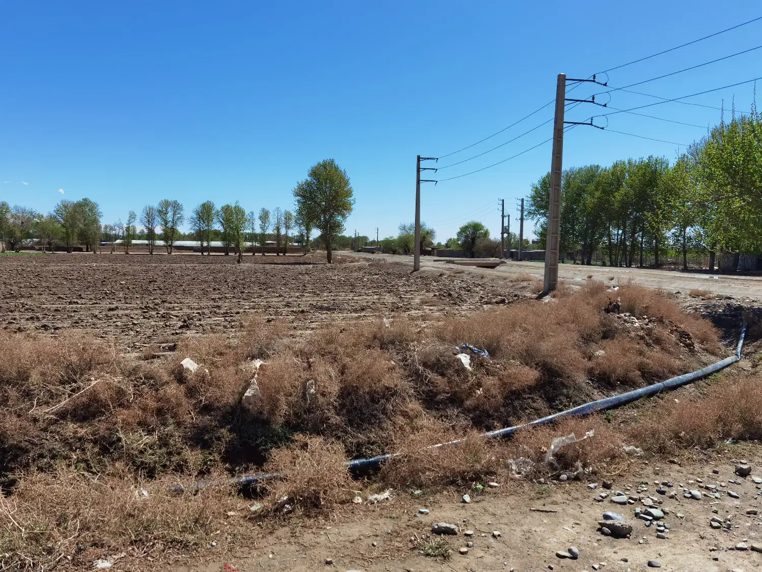 زمین کشاورزی یک هکتار