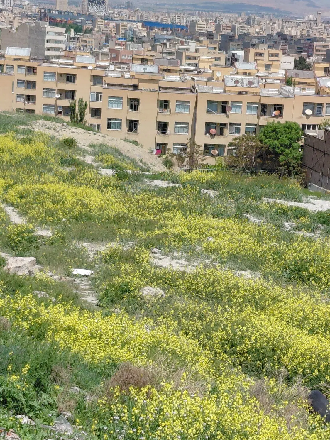ملک