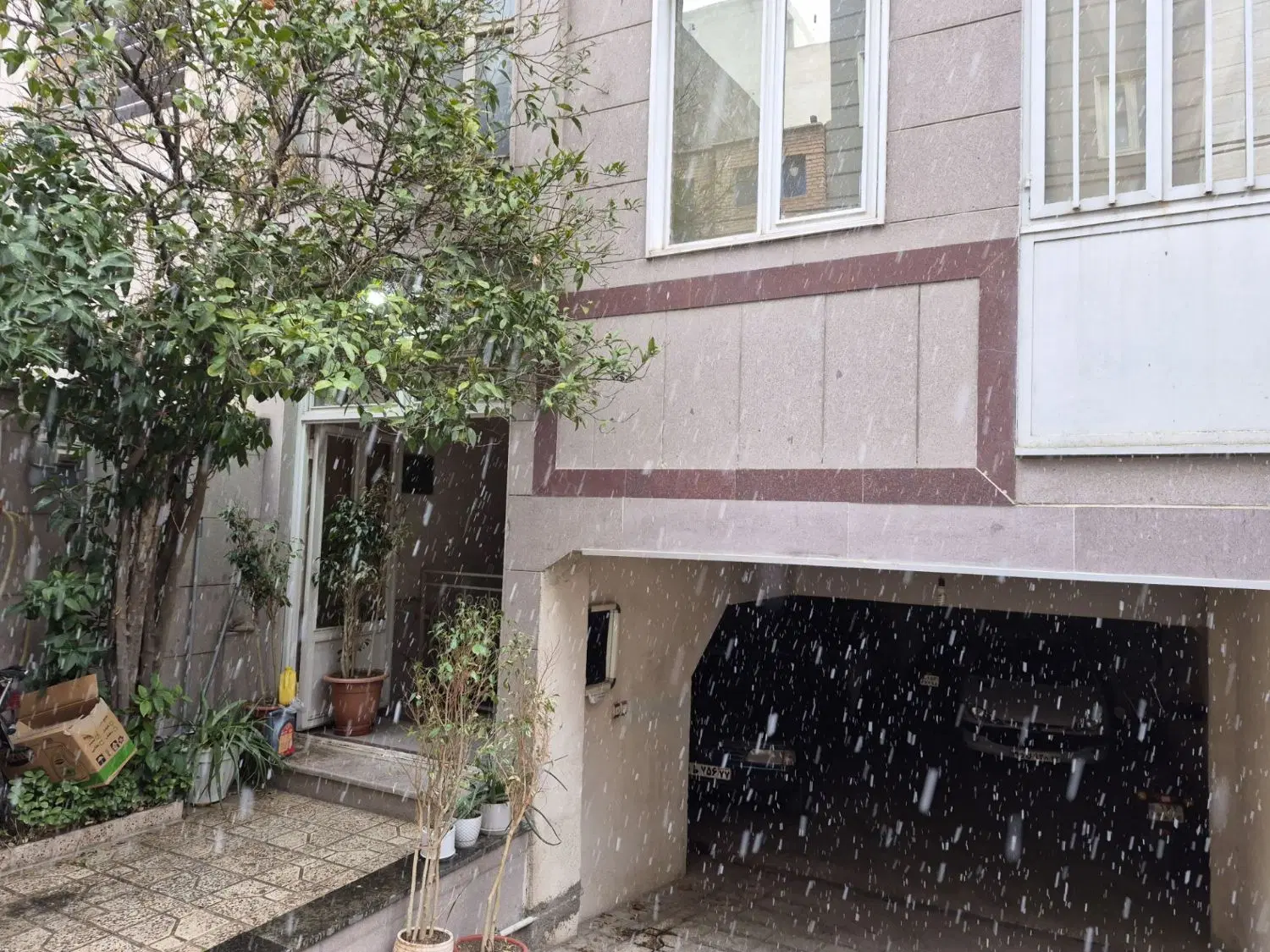 واحد 54 متری ژیان پناه