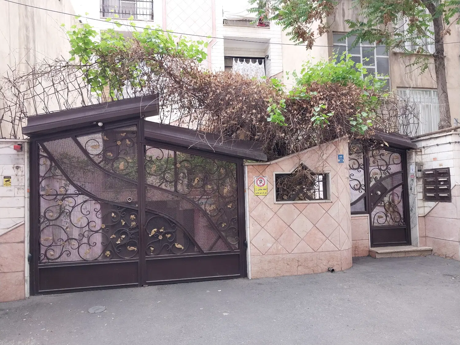 ۶۵متر تکخواب