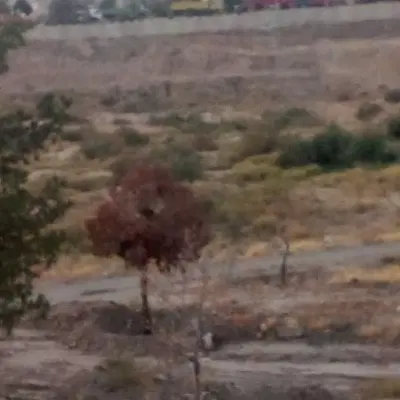 زمین زراعی