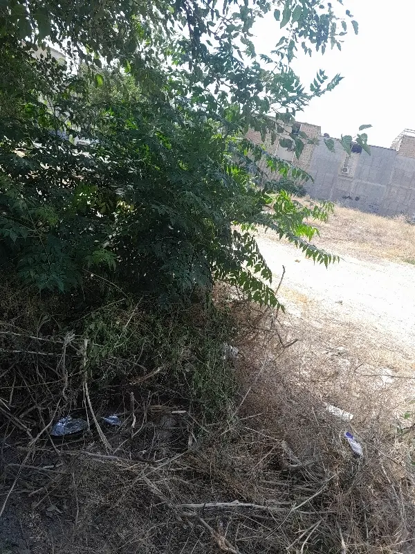 فروش آپارتمان ۹۸ متری سرابی
