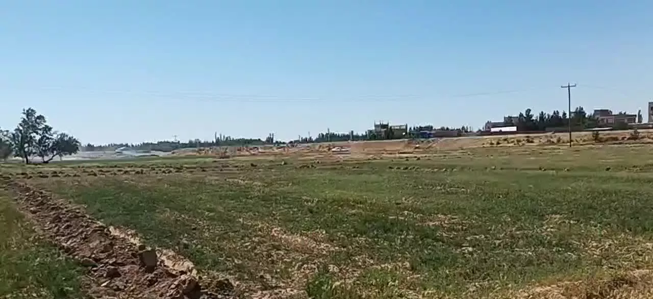 فروش زمین کشاورزی به همراه خانه باغ و موتورخانه