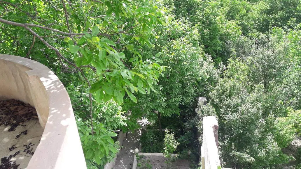 باغ ویلا