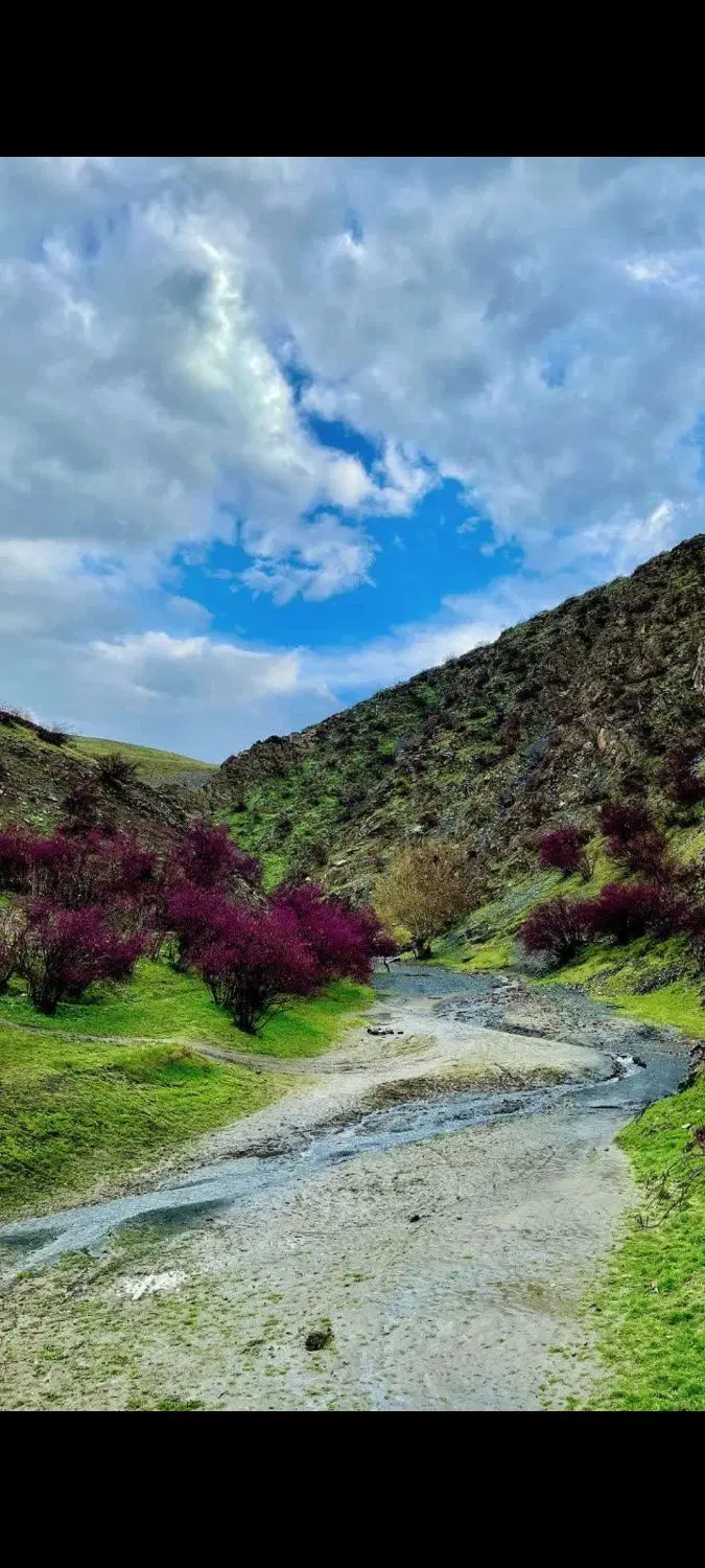 زمین سند دار ملکی از ۲۰۰ متر تا ۱۰۰۰مترطرقبه