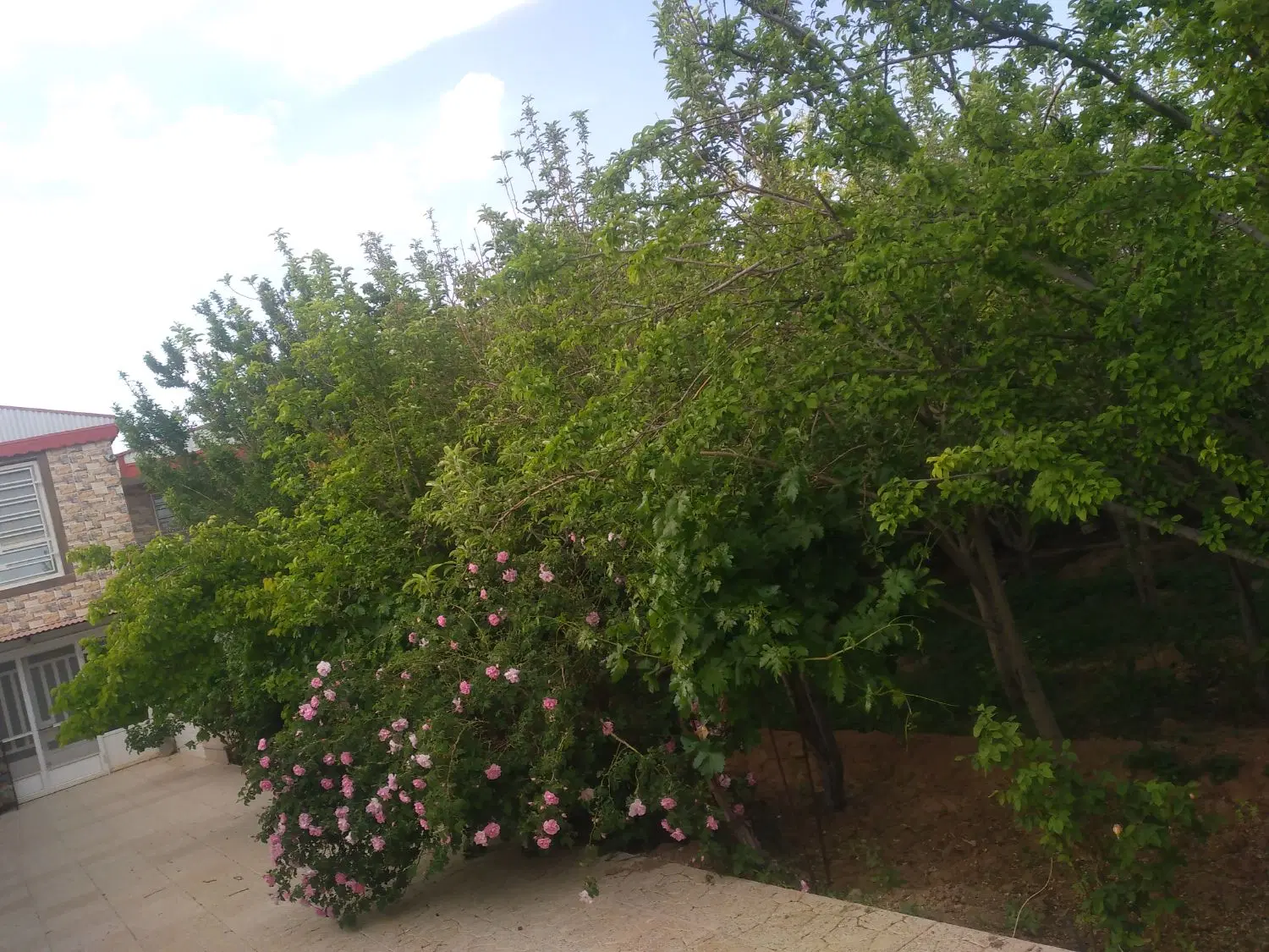خونه باغ روستای احمدابادچهل گزی با سند تک برگ