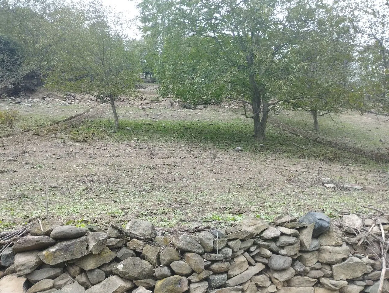 زمین با منظره ای بکر و زیبا