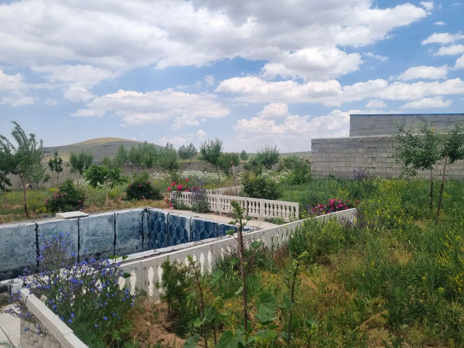 باغ ۱۳۰۰ متری