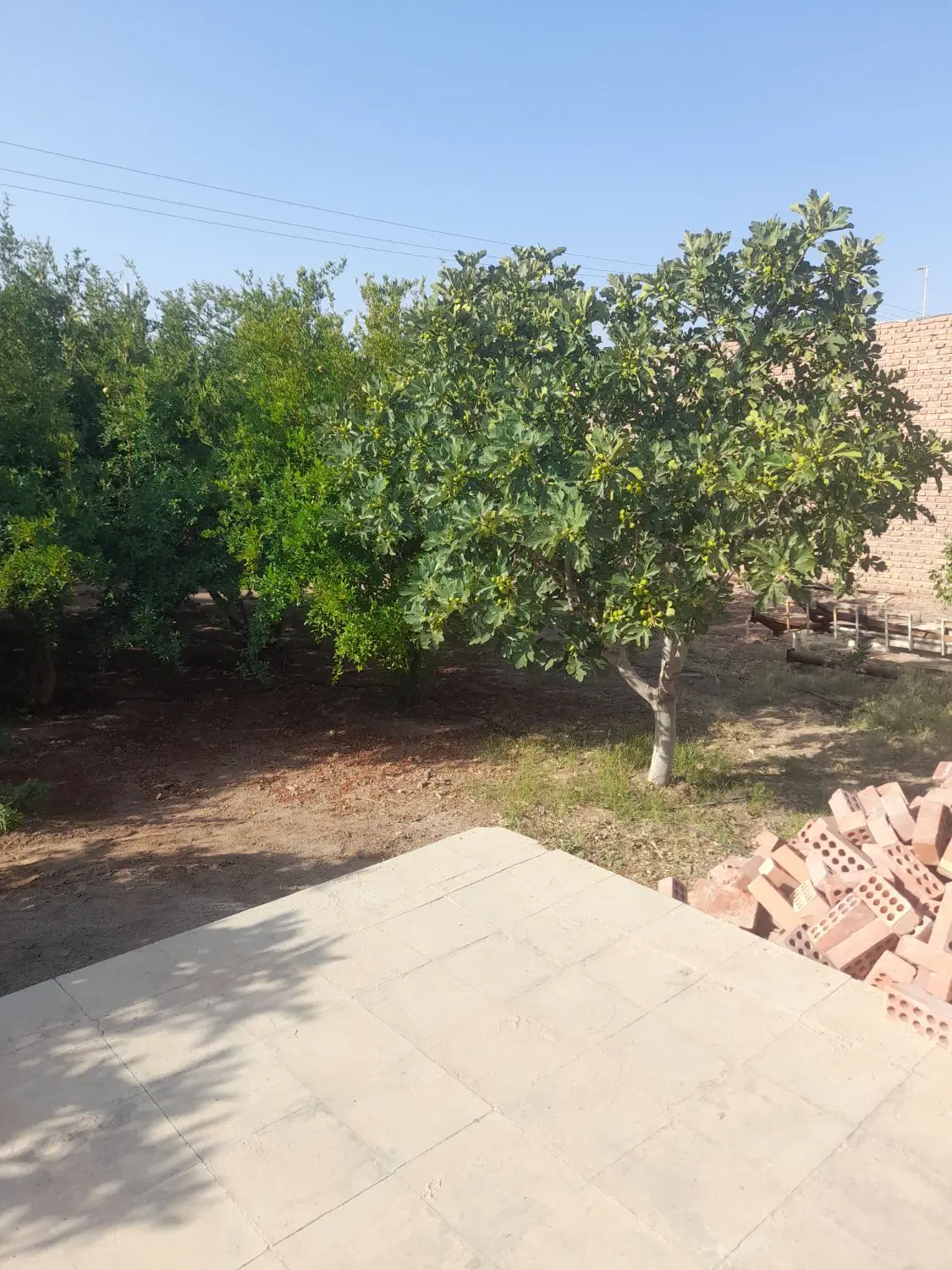 اجاره خانه باغ در روستای فرح آباد ۲۰ کیلومتر کرمان