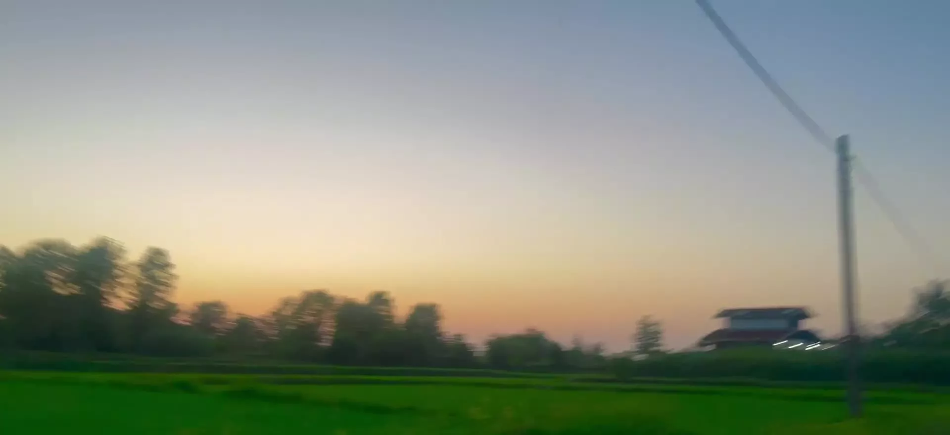 زمین زراعی درحال کشت