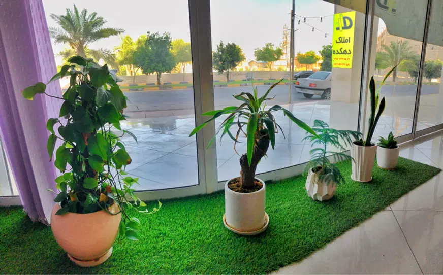 زمین ۲۰۰متری محله ولیعصر(سندثبت)