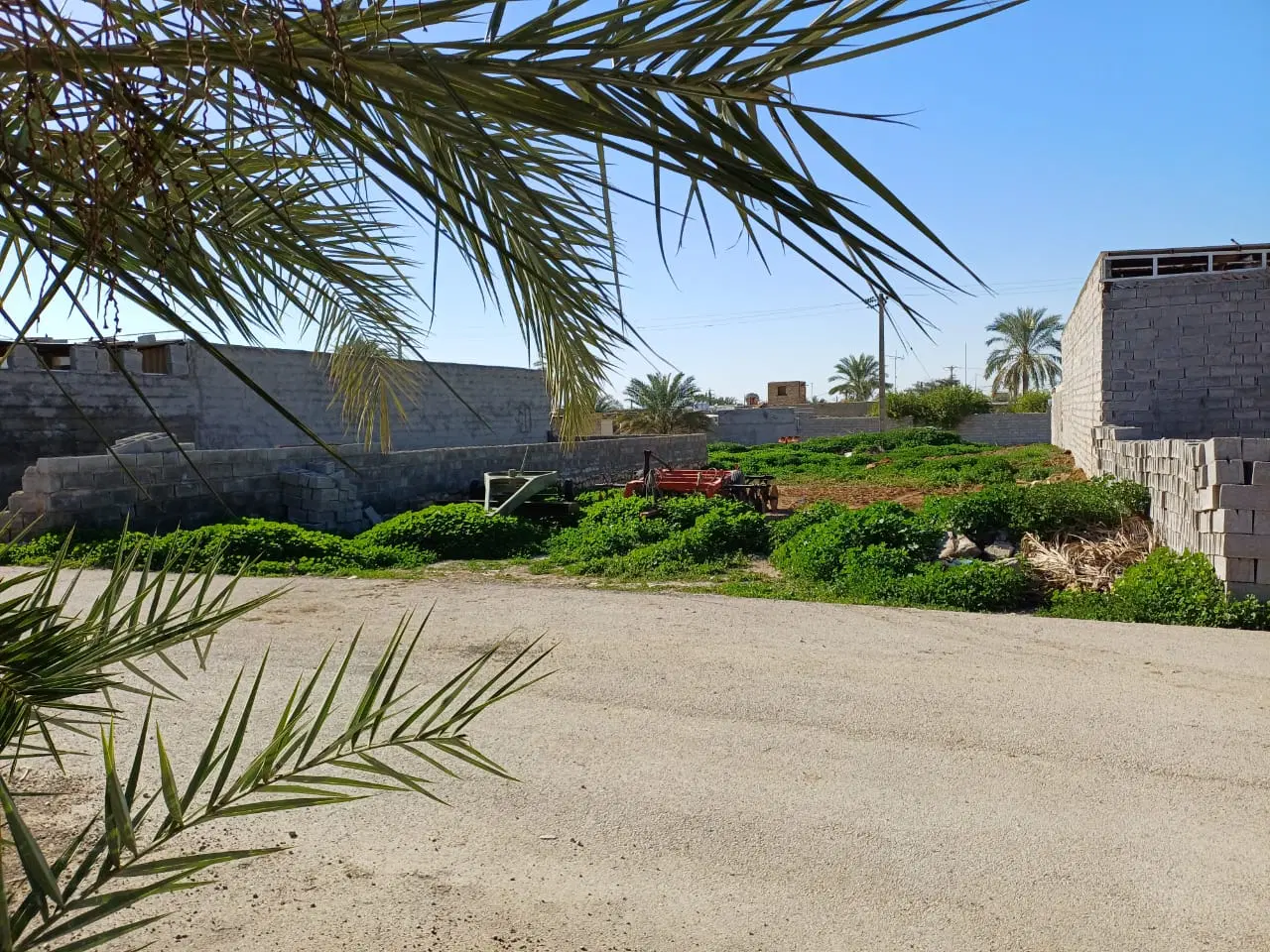 زمین مسکونی درقالند