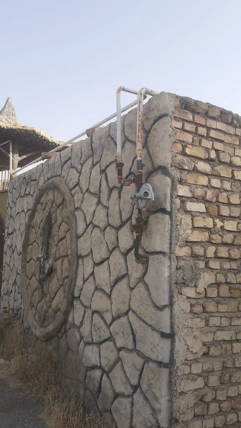 زمین باغی