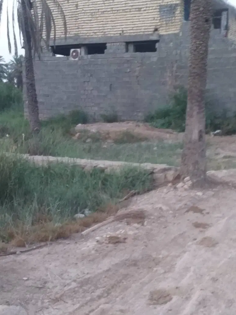 زمین مثنا سنگ شده