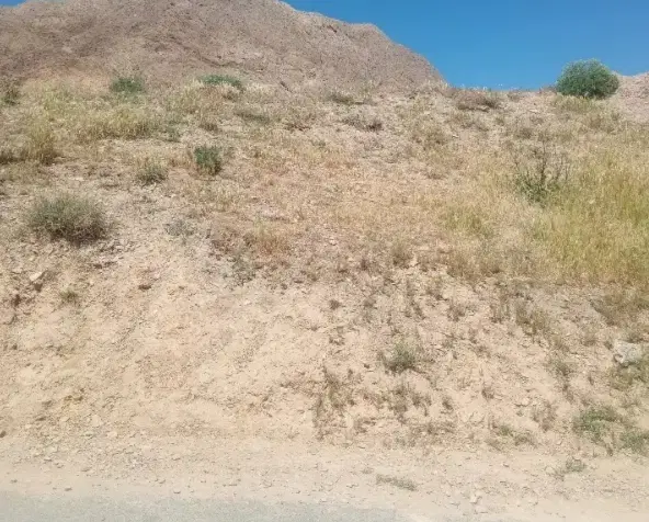 زمین دو قواره ازناو