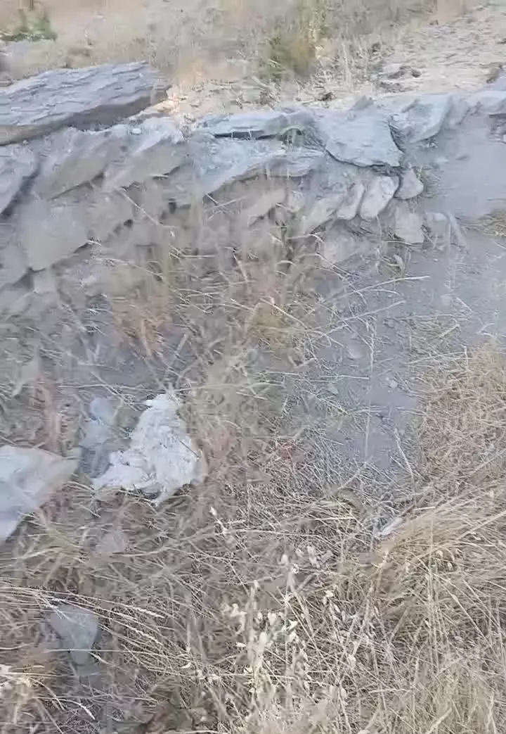 زمین کشاورزی ۲۰۰۰ متری کنار جاده