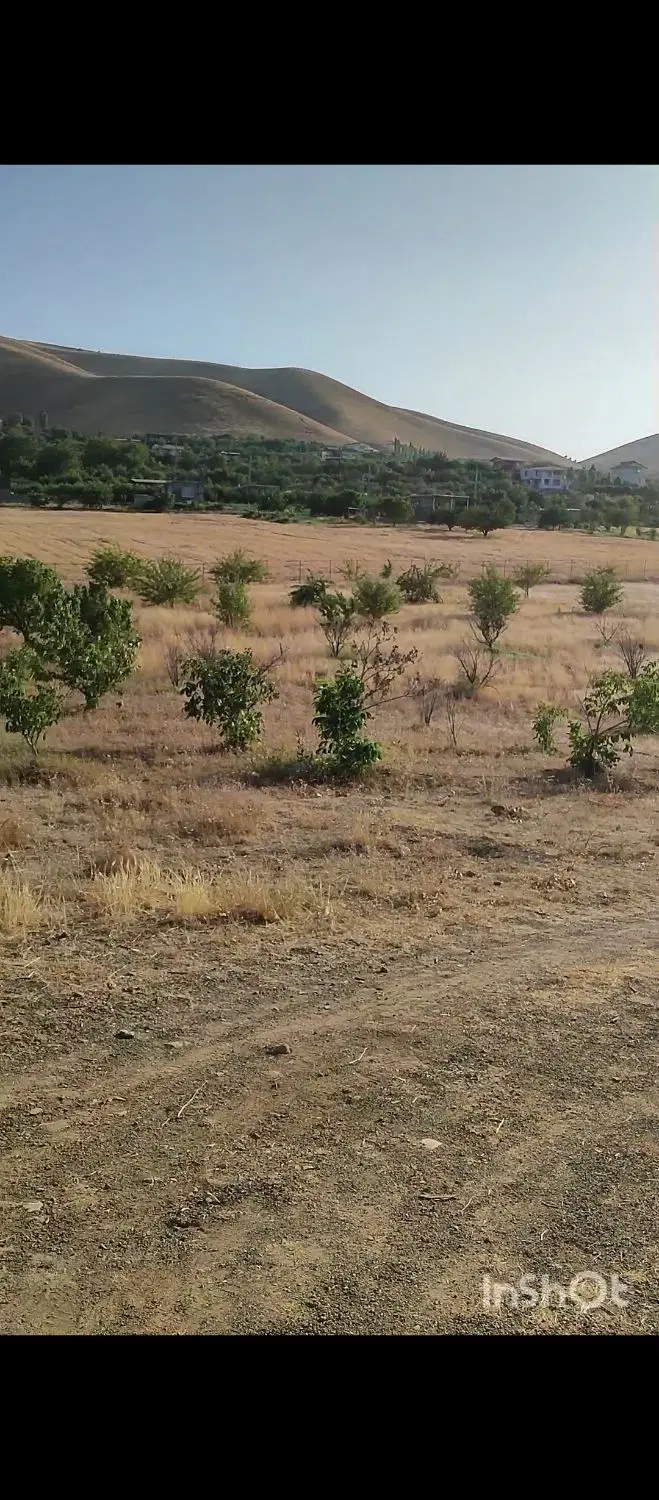 زمین باغ سرابقامیش