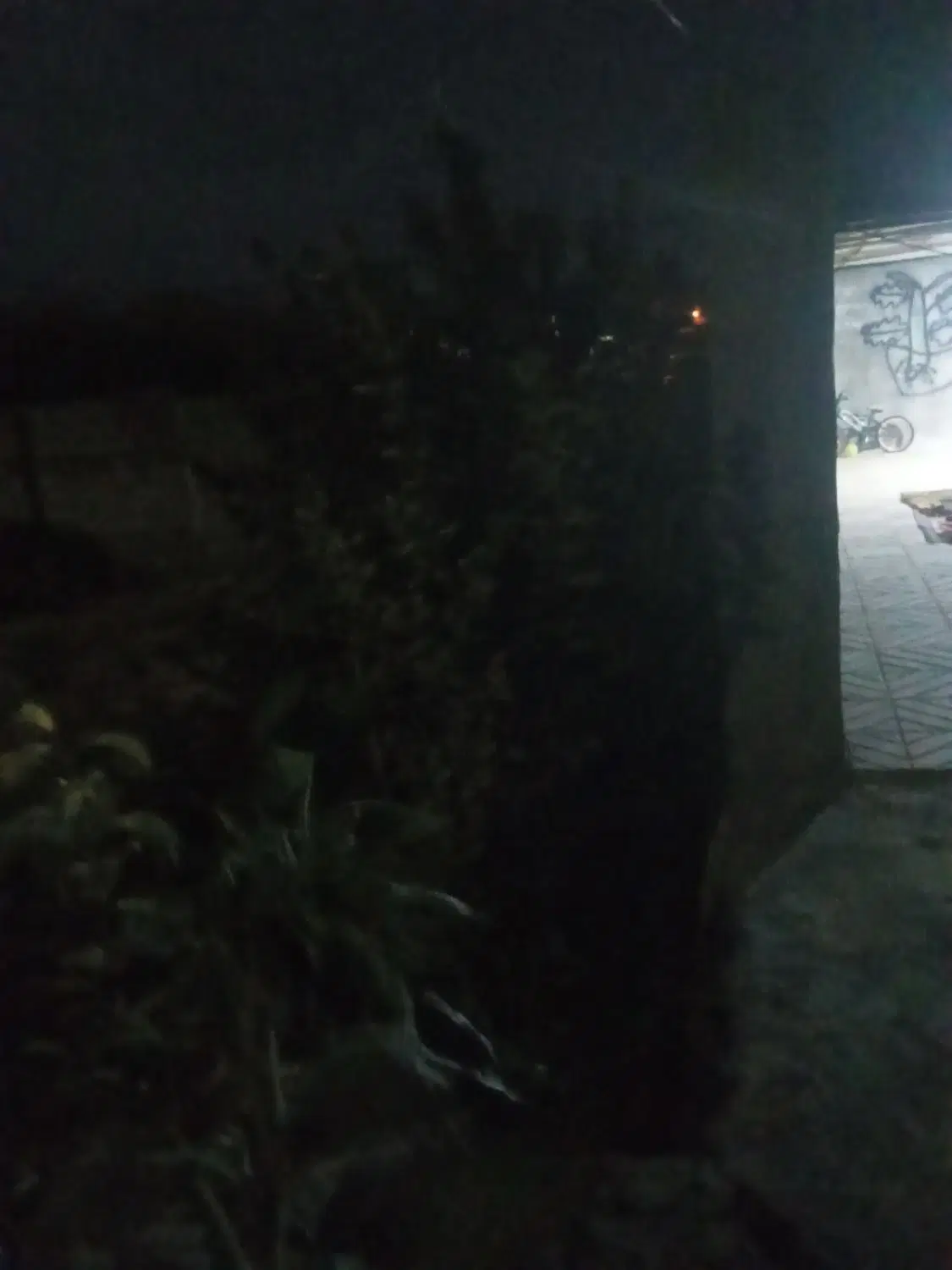 خانه تاز ساز و سالم هر کس خرید خیرببین