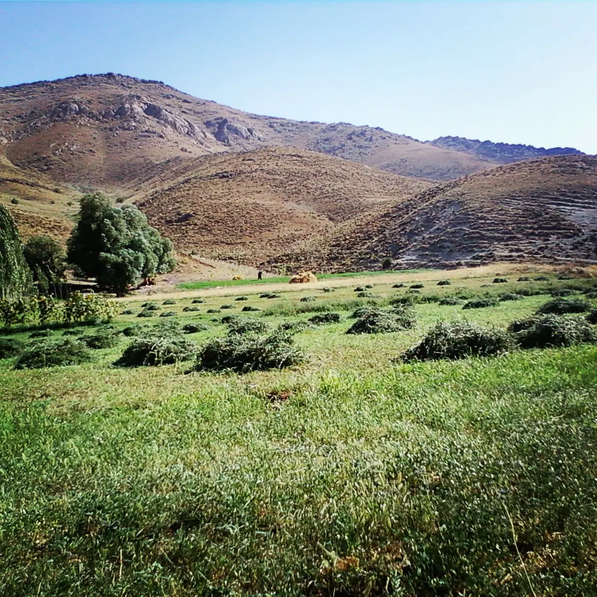 زمین عباس اباد